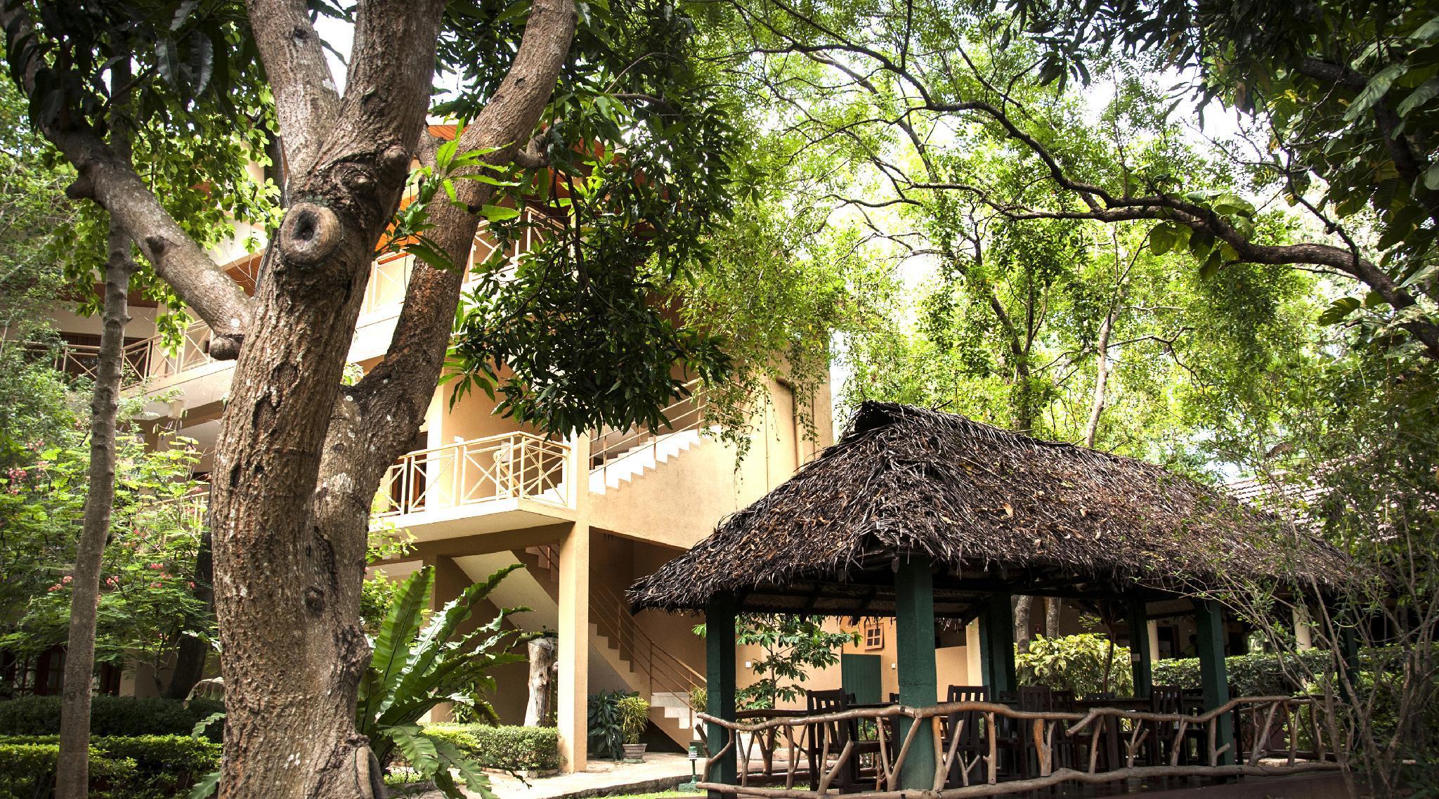 Pelwehera Village Resort Dambulla Extérieur photo