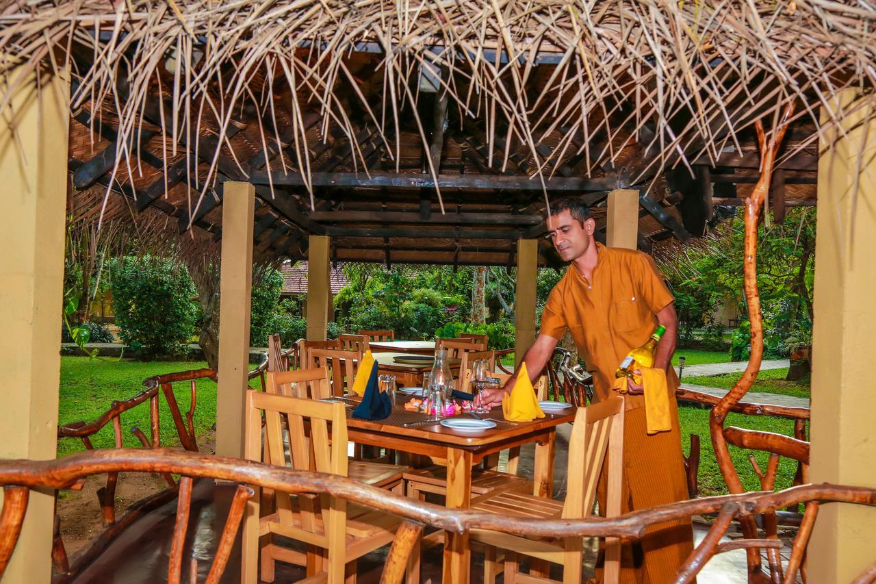 Pelwehera Village Resort Dambulla Extérieur photo