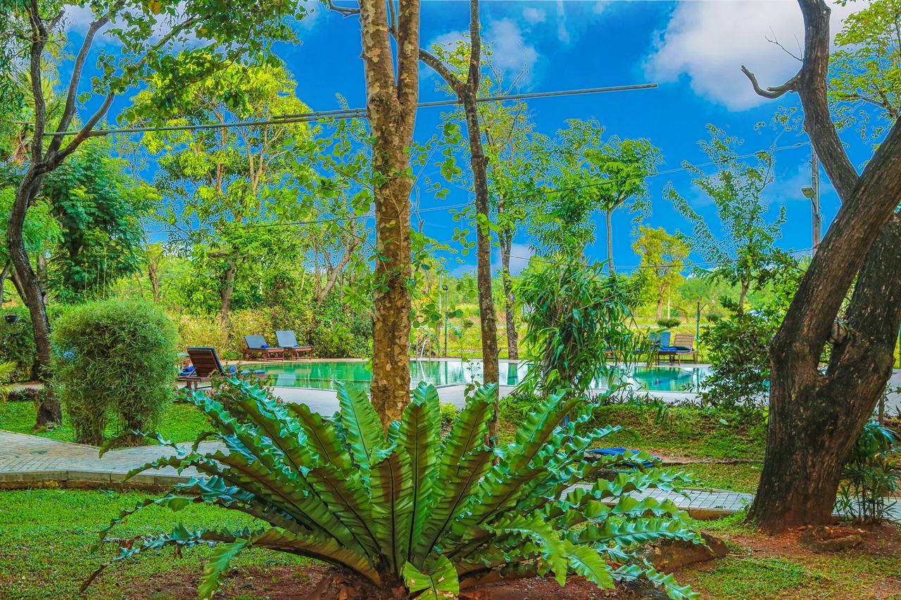 Pelwehera Village Resort Dambulla Extérieur photo