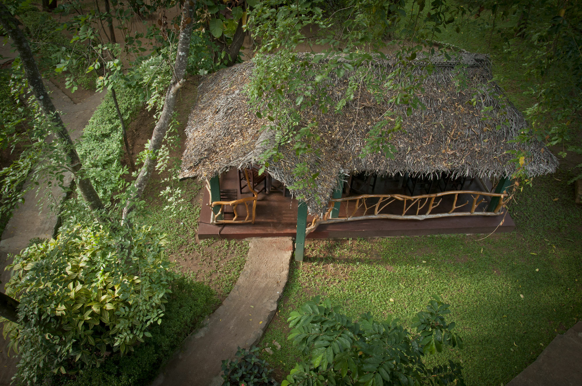 Pelwehera Village Resort Dambulla Extérieur photo
