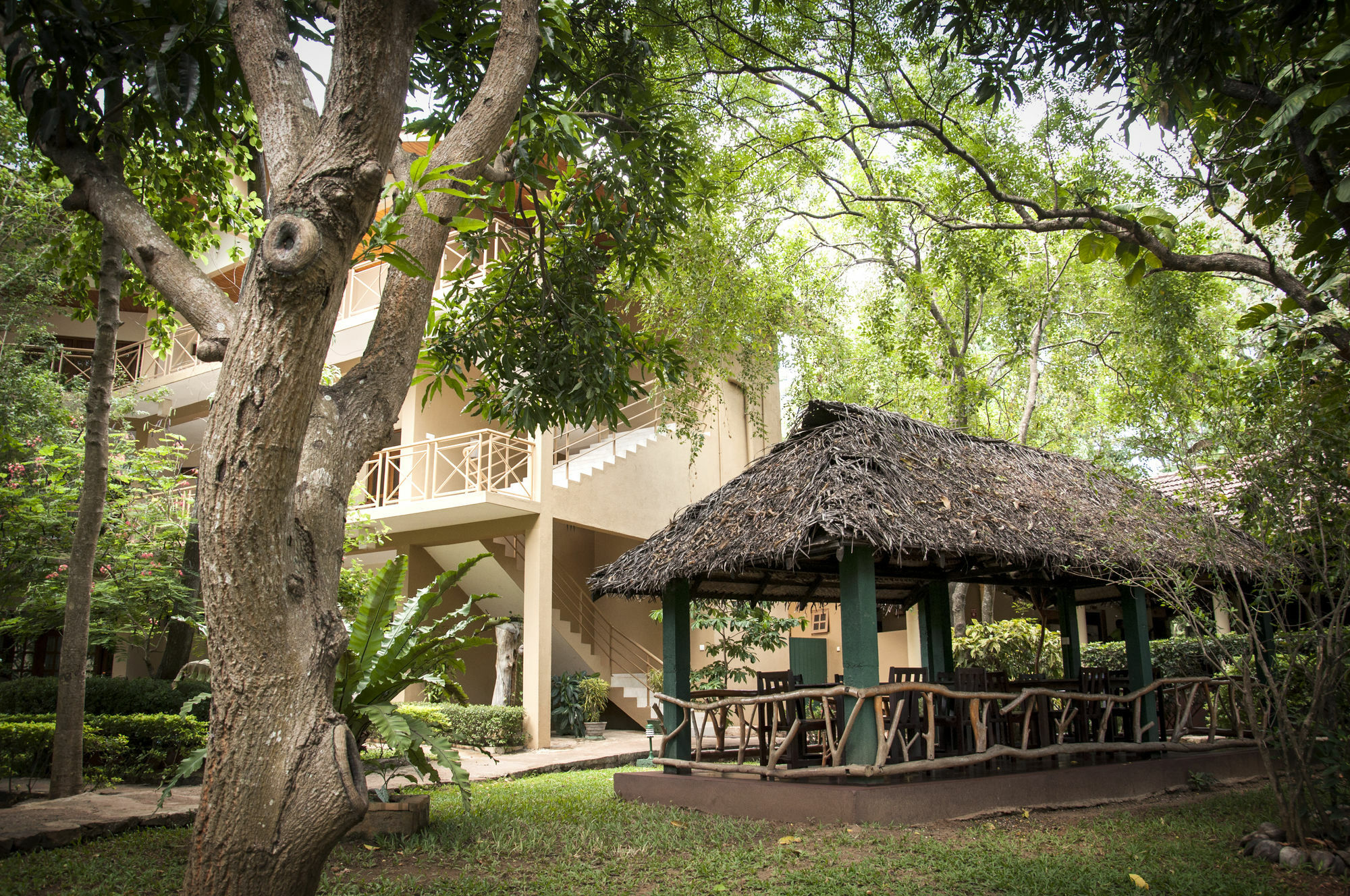 Pelwehera Village Resort Dambulla Extérieur photo